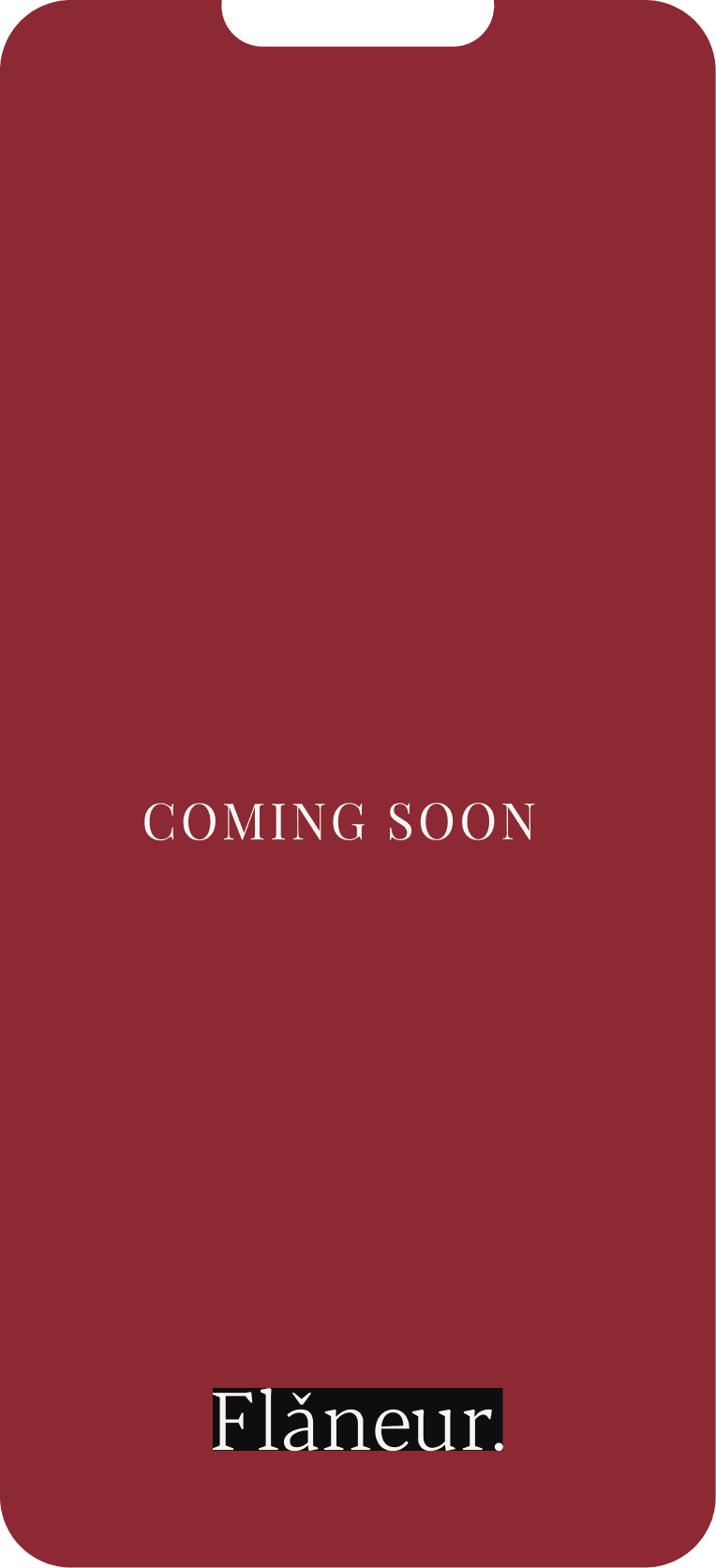 Flaneur brand content image